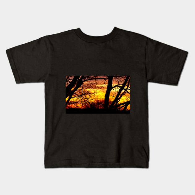 Sunset through the Trees Kids T-Shirt by Nicole Gath Photography